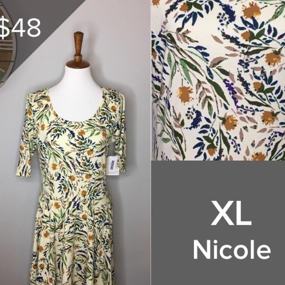 LuLaRoe Nicole Dress
